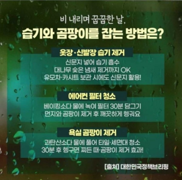 습기와 곰팡이를 잡는 방법 | 인스티즈