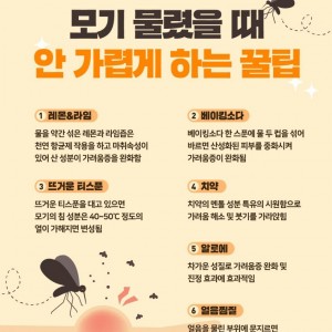 모기 물렸을 때 안 가렵게 하는 꿀팁