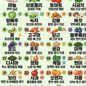 과학적으로 입증된 항암 식품 30가지