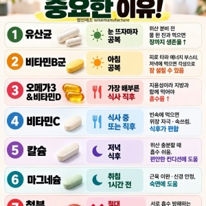 영양제 먹는 시간이 중요한 이유. #좋은글귀 #인생조언 #지혜 #건강 #영양제그램 | Supplements that should never be taken together, Supplements that should not be taken together, Supplements to never take together